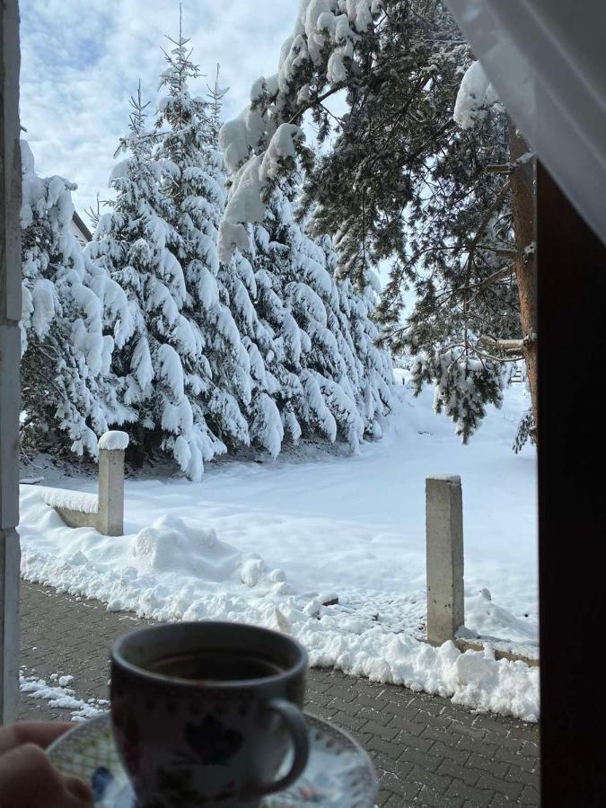 Stella * Zlatibor